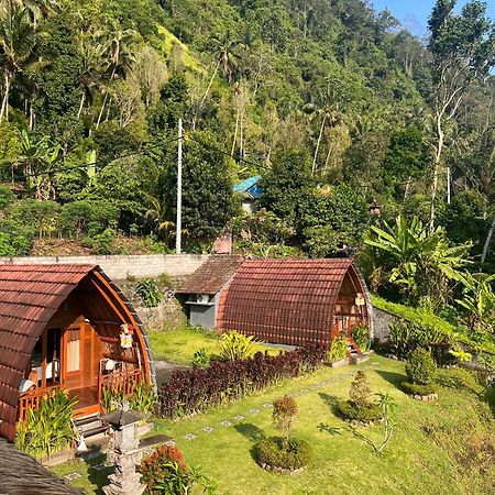 Villa Lumbung Ayu Sari & Spa كارانغاسِم المظهر الخارجي الصورة