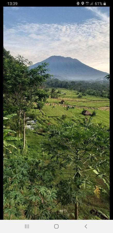Villa Lumbung Ayu Sari & Spa كارانغاسِم المظهر الخارجي الصورة
