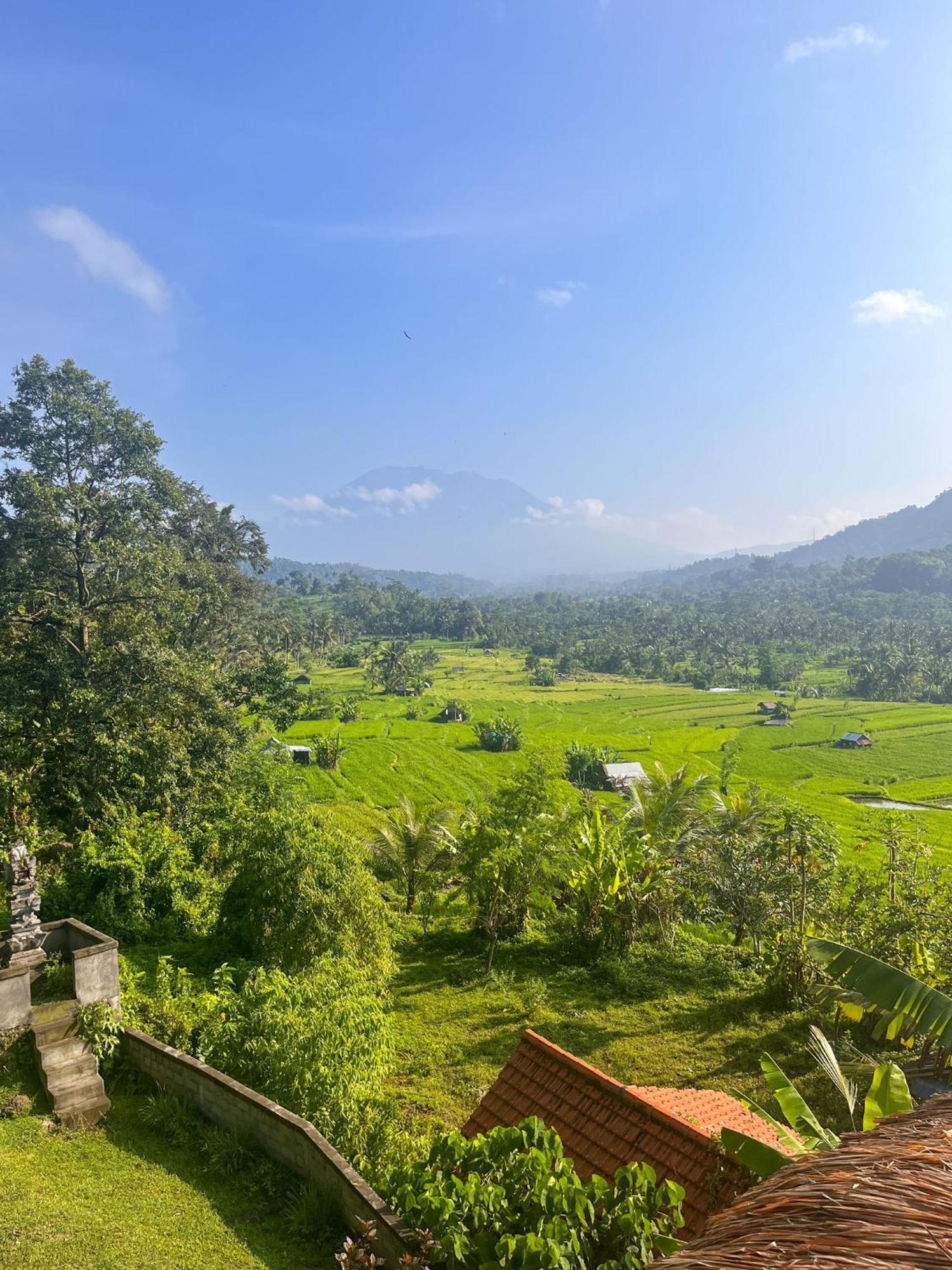 Villa Lumbung Ayu Sari & Spa كارانغاسِم المظهر الخارجي الصورة